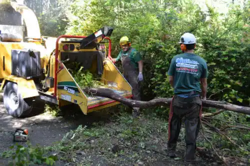 tree services Keystone Heights